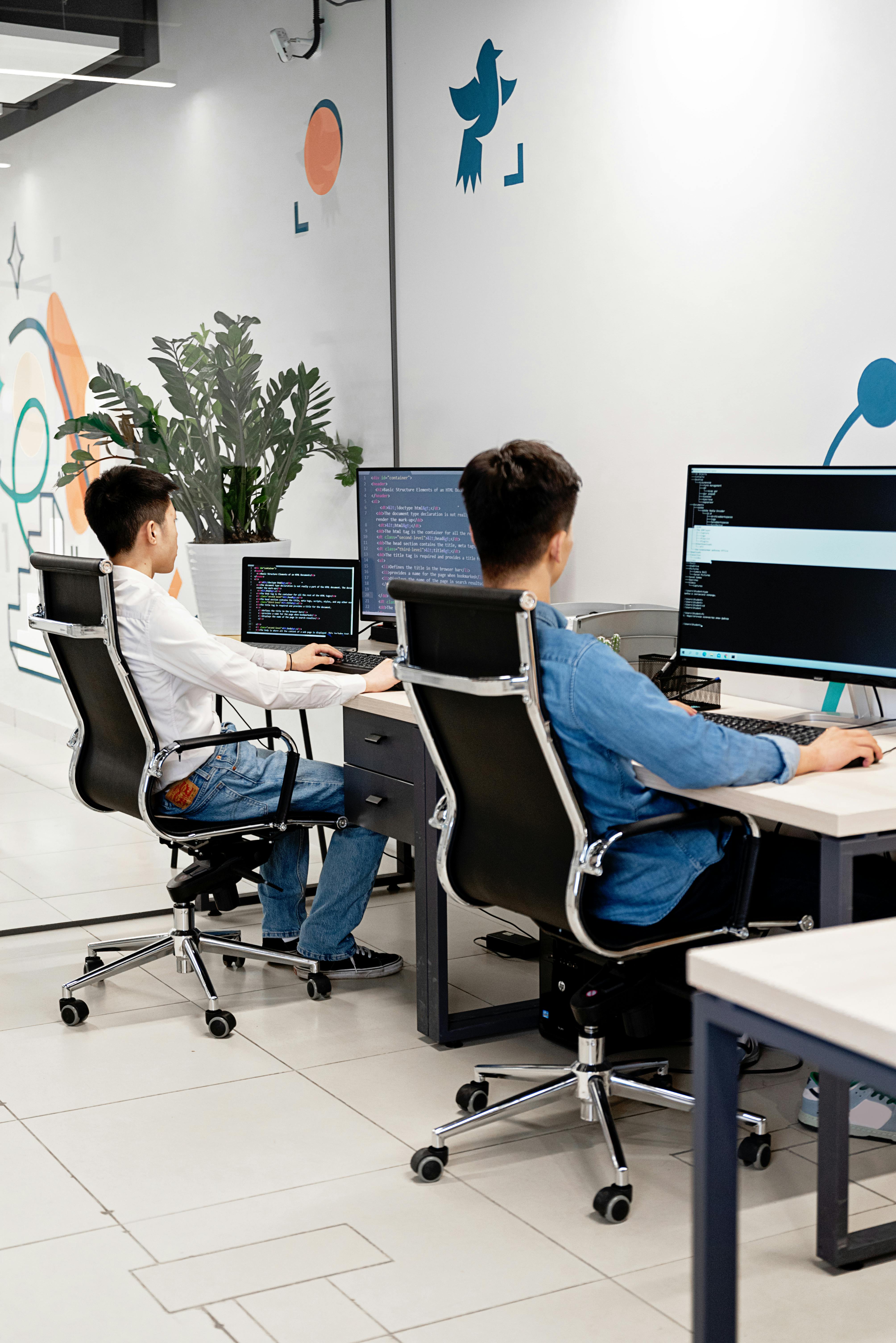 Custom software development and programming services